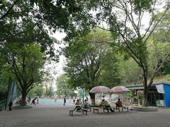 -中山公园(石岐街道)