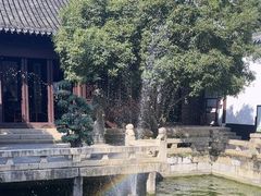 -上海醉白池公园
