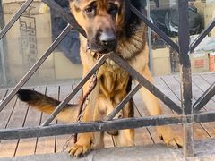 -江杨农产品批发市场