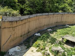 -宁波野生动物园