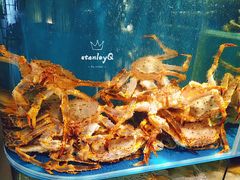 -蟹田居·活蟹料理(东城店)