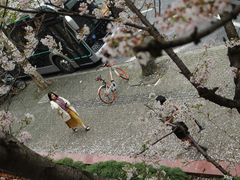 -上海南浦大桥长途旅游客运站