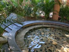 -碧水湾温泉