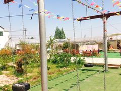 -小鱼草莓采摘园农家乐·小鱼餐厅