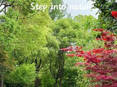 -花开海上生态园