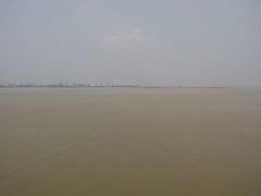 景点-大湾区中央湿地公园