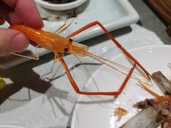 -阿斯牛牛·凉山菜(新会展店)