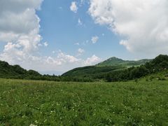 -白草畔自然风景区