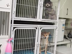 -沐沐家宠物(成寿寺店)