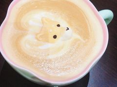 逗柴特调咖啡-逗柴咖啡屋·狗咖猫咖宠物桌游
