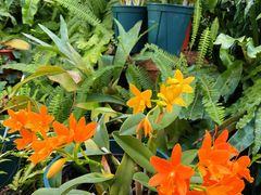 -国家植物园南园