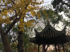 -秋霞圃