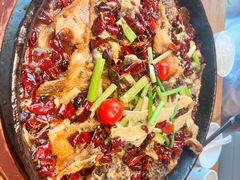 -老板恋上鱼(恒隆广场店)