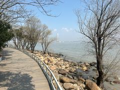 -上海吴淞炮台湾国家湿地公园