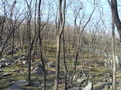 -封龙山风景区