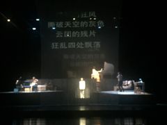 -合肥大剧院