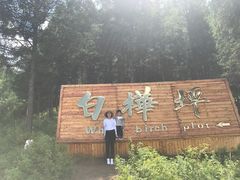 -塞罕坝国家级自然保护区