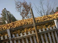 -意大利农场度假村