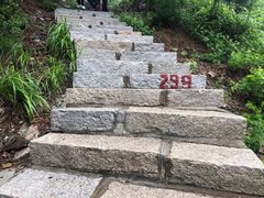 -金龙寺国家森林公园