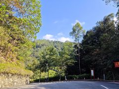 -火炉山森林公园