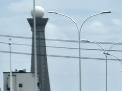 -长田漾湿地公园