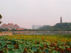 -顺峰山公园