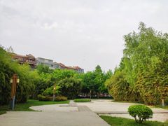 -唐城墙遗址公园