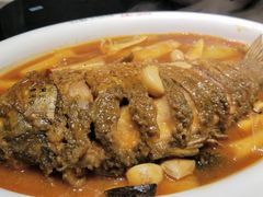 -阿五黄河大鲤鱼(英协路店)