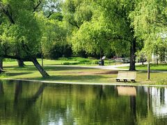 -上海共青森林公园