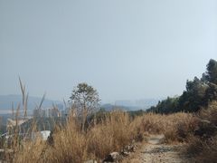 -黄埔油麻山森林公园