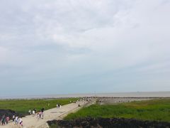 -南汇嘴观海公园