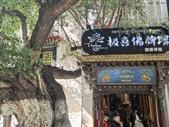 -古树酸奶(八廓南街店)