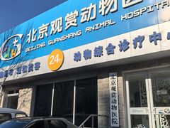 -北京观赏动物医院·24小时大型综合·猫专科·异宠专科