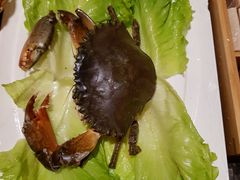 -海逸海鲜酒家(古北店)