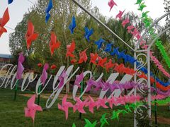 -洛阳郁金香牡丹园