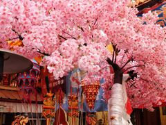 -吉祥圣雪藏餐