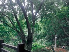 -白马涧龙池景区