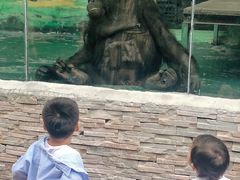 -泉州海丝野生动物世界