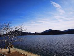 -望湖烤鱼