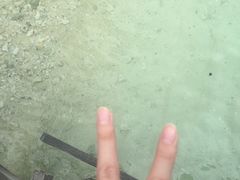 -东姑阿都拉曼海洋公园