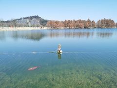 -上海辰山植物园