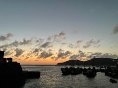 -枸杞岛
