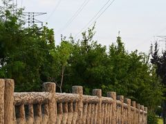 -昆山城市生态森林公园