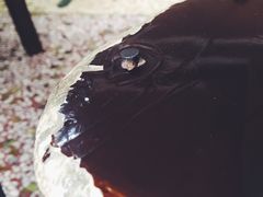 破旧的椅子&nbsp;钉子都出来了-清真马杰山牛肉汤馆