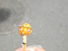-萌萌牛紫米露(烟台大学店)
