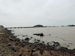 -野狸岛