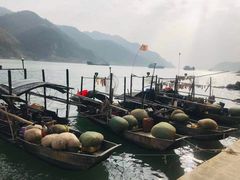 -羚羊峡古栈道森林公园