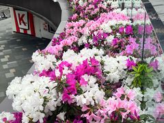 -龙湖重庆时代天街