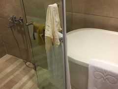 -西贡日航酒店
