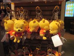 -小熊维尼历险之旅